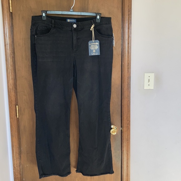 Democracy ab solution high rise itty bitty more boot jean raw hem 22W - Picture 6 of 17